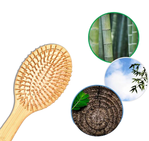 Natural Wooden Hair Brush